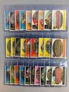 28 - 1958 Topps San Francisco 49ers, Chicago Cardinals, and Philadelphia Eagles High Grade Cards