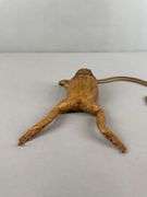 Vintage Cane Toad Taxidermy Purse