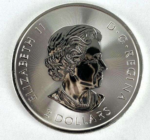 2019 Canada $2 Polar Bear 1/2 oz .999 Fine Silver