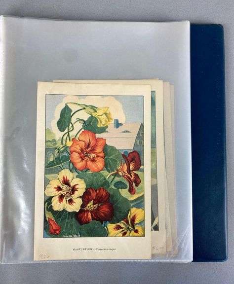 Group of 1926 Color Flower Lithographs