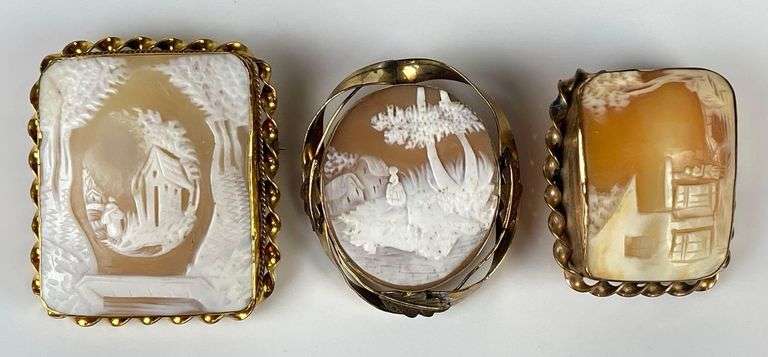 Group of 3 Large Landscape Cameo Brooches