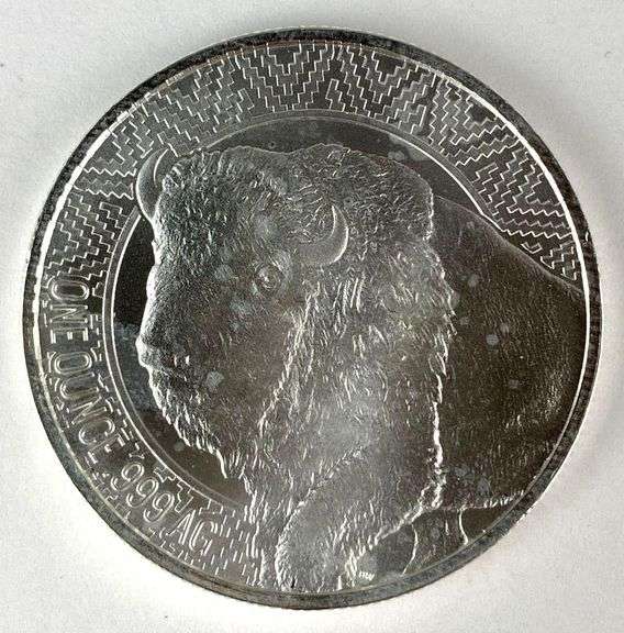 Bullion Works Buffalo Warrior 1 oz .999 Silver Round