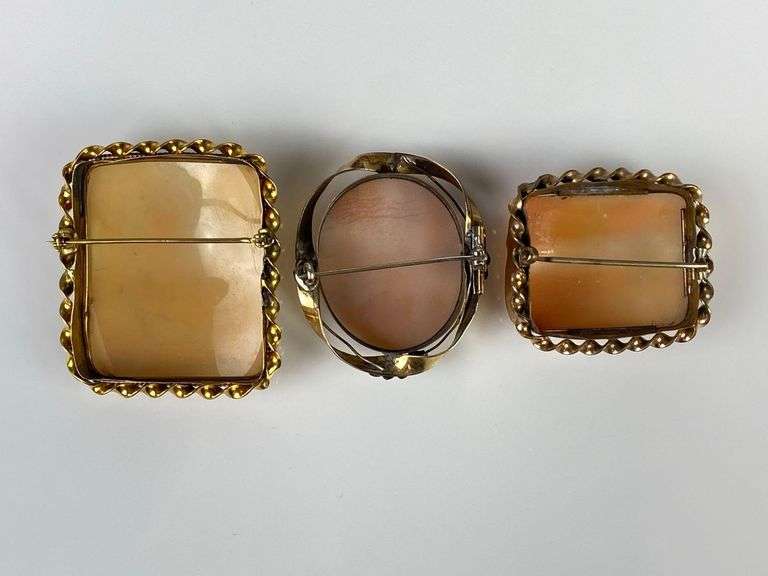 Group of 3 Large Landscape Cameo Brooches