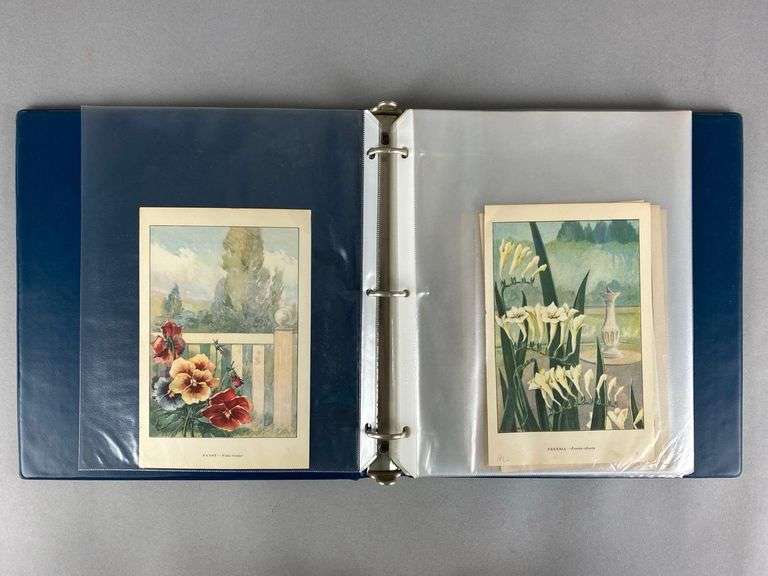 Group of 1926 Color Flower Lithographs