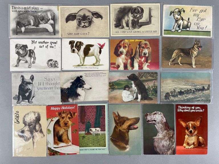 Postcards - 100+ Dogs