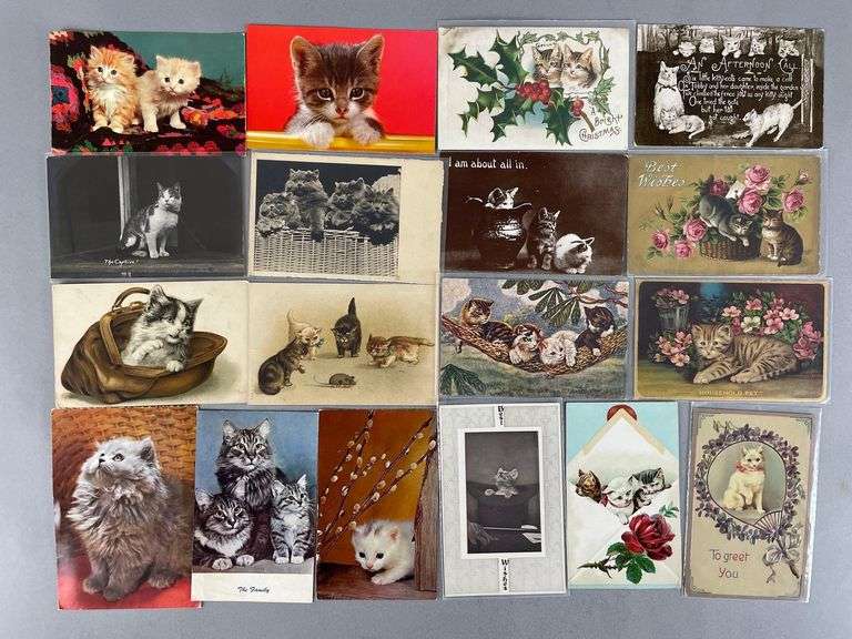 Postcards - 80+ Cats