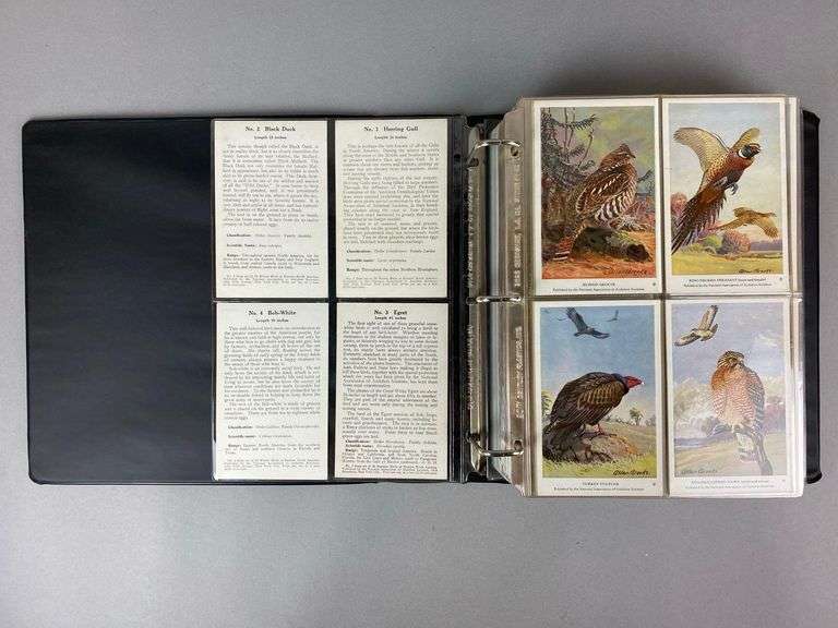 Group of 200 1900s Bird Trading Cards and More