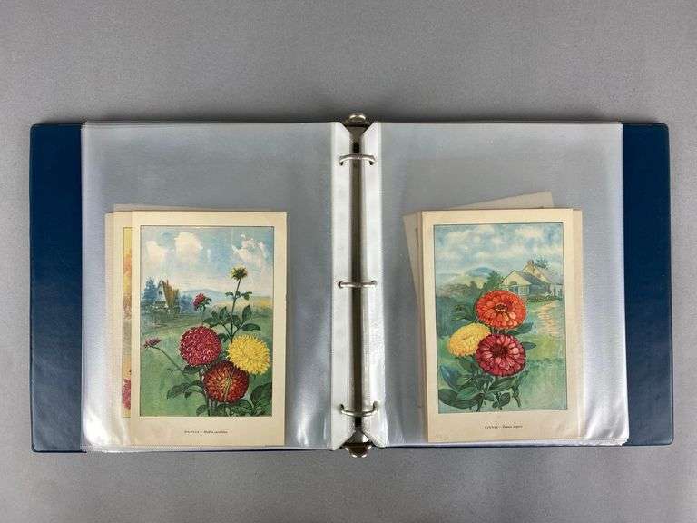Group of 1926 Color Flower Lithographs