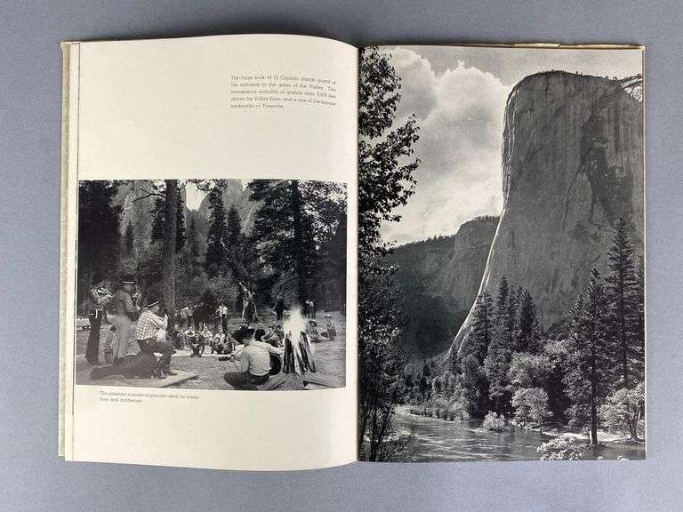 Group of Yosemite National Park Ephemera