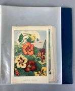 Group of 1926 Color Flower Lithographs