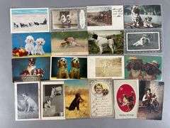 Postcards - 100+ Dogs