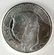 Bullion Works Buffalo Warrior 1 oz .999 Silver Round