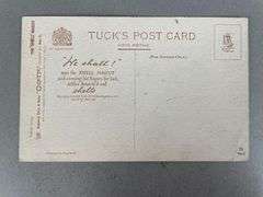 Tuck Louis Wain The Shell Mascot Postcard