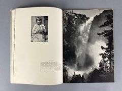 Group of Yosemite National Park Ephemera