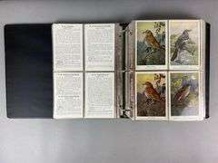 Group of 200 1900s Bird Trading Cards and More