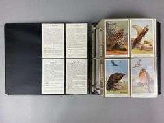 Group of 200 1900s Bird Trading Cards and More