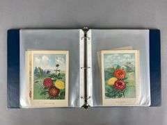 Group of 1926 Color Flower Lithographs