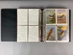 Group of 200 1900s Bird Trading Cards and More