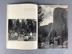 Group of Yosemite National Park Ephemera