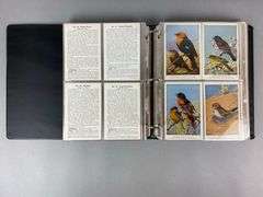 Group of 200 1900s Bird Trading Cards and More