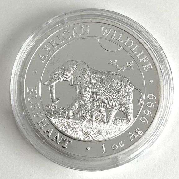 2022 Somali Republic 100 Shillings African Wildlife Elephant 1 oz .999 Silver Coin
