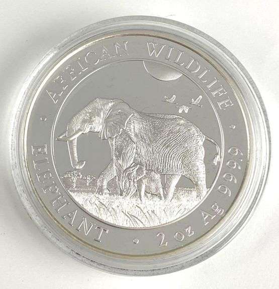 2022 Somali Republic 200 Shillings African Wildlife Elephant 2 oz .999 Silver Coin