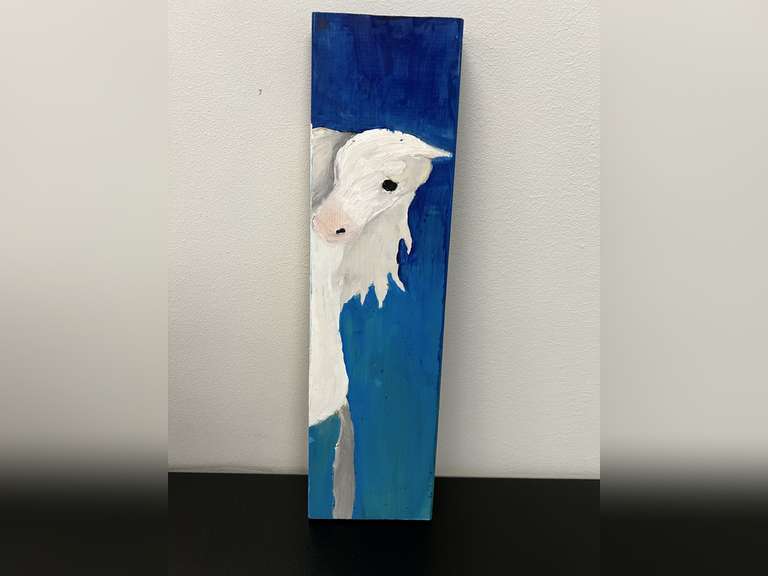 A Horses Perspective