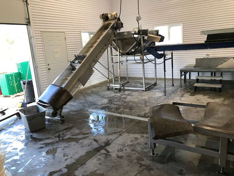 Complete Cherry Pitting & Processing Line