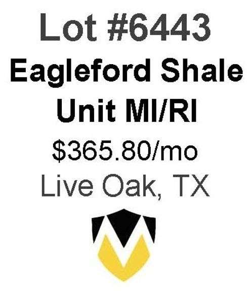 4-Well Eagleford Shale Unit