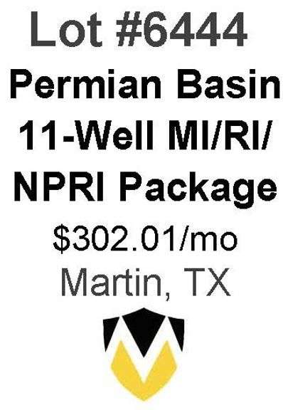 Permian Basin 11-Well Package