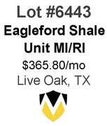 4-Well Eagleford Shale Unit