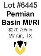 Permian Basin Mineral/Royalty Interest