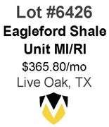 4-Well Eagleford Shale Unit