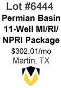 Permian Basin 11-Well Package