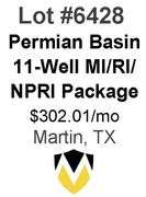 Permian Basin 11-Well Package