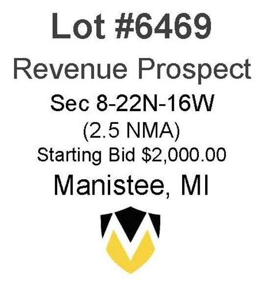 Manistee MI Minerals (2.5 NMA)