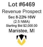 Manistee MI Minerals (2.5 NMA)