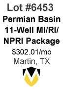 Permian Basin 11-Well Package