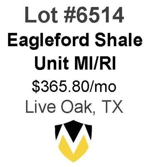 4-Well Eagleford Shale Unit