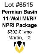 Permian Basin 11-Well Package