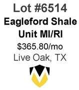4-Well Eagleford Shale Unit