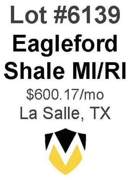 Eagleford Shale MI/RI