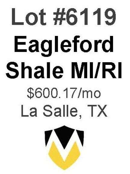 Eagleford Shale MI/RI