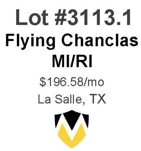 Flying Chanclas