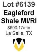 Eagleford Shale MI/RI