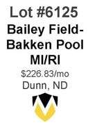 Bailey Field-Bakken Pool Wells