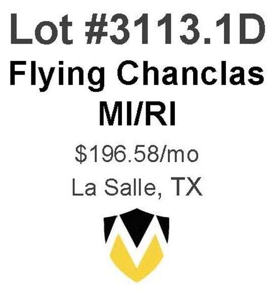 Flying Chanclas