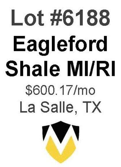 Eagleford Shale MI/RI