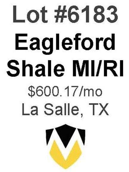 Eagleford Shale MI/RI