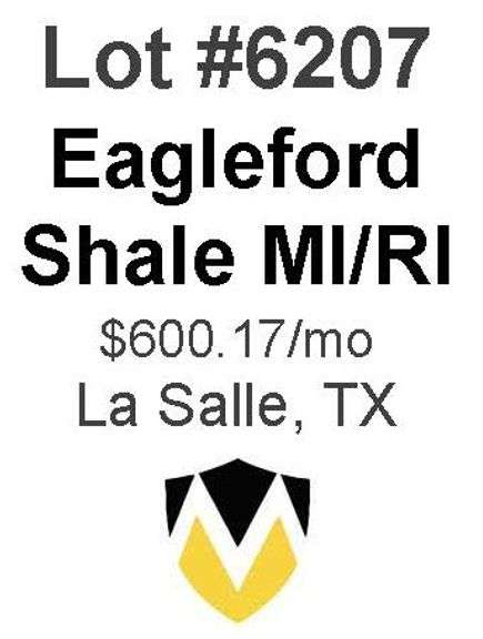 Eagleford Shale MI/RI